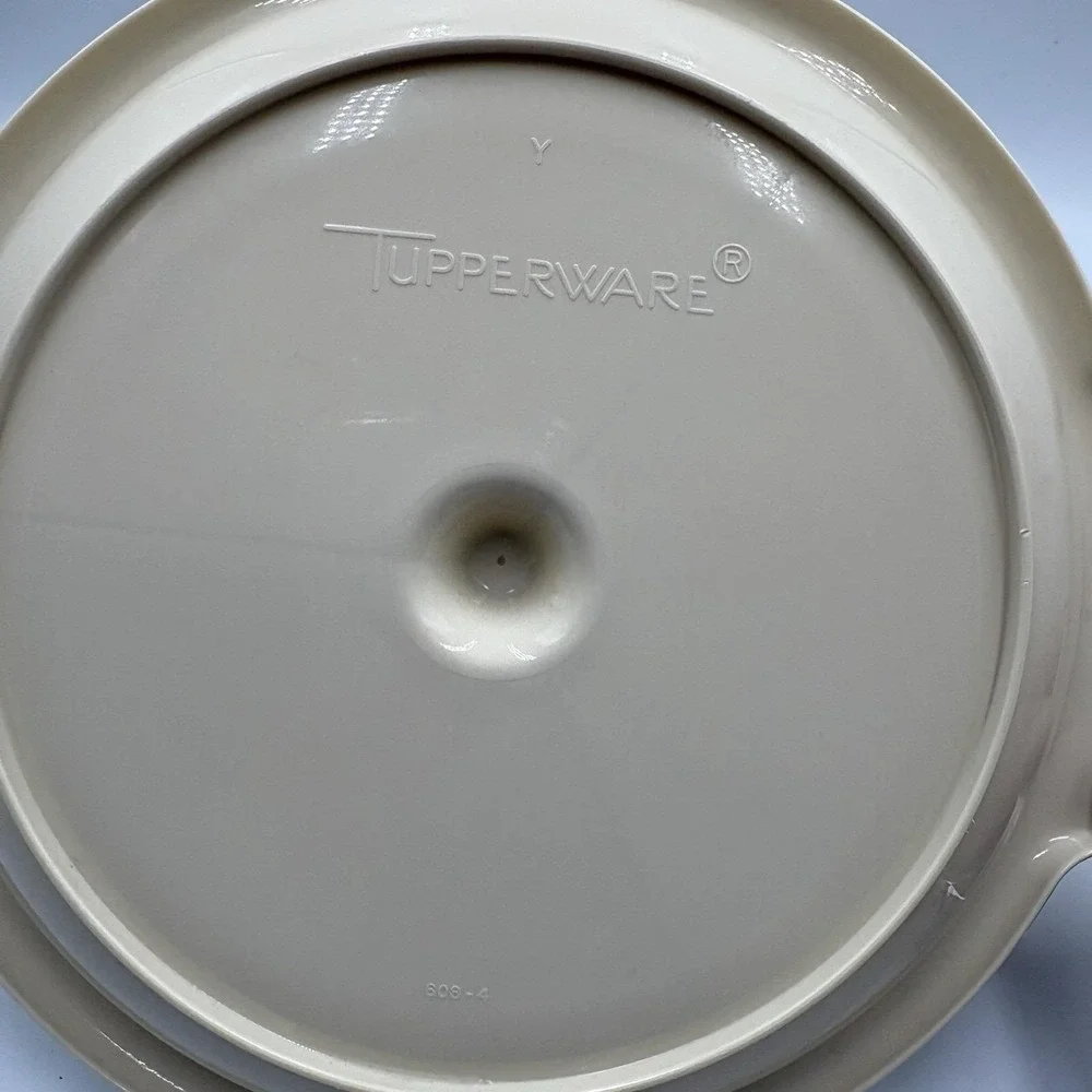 Vintage Tupperware Suzette Divided Plate 608-4 & Lid 229-17 With Handle Tan